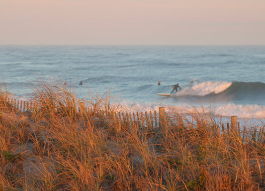 Where the Dunes Lead